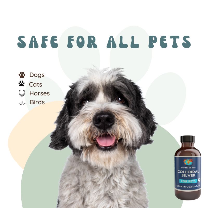 Colloidal Silver for Pets (10 ppm) - 16 fl oz Amber Bottle for Immune & Health Support